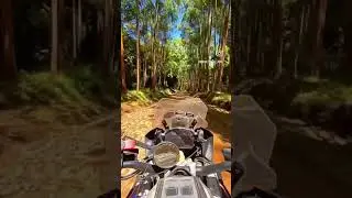 Another beautiful day 🌲 ☀️  #motorrad #R1250GS #R1250GSA #offroad #shorts #enduro #adventuremoto