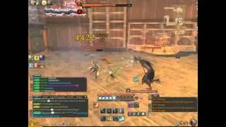 Blade and Soul NA  Chef Tae Jangum 6 man Summoner Solo