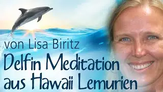 Schirner Verlag: Delfin Meditation aus Hawaii Lemurien &ndash; von Lisa Biritz,