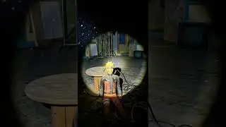 This Character didn't get an ending.