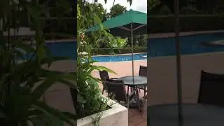 Gardens & Water Features in Orchid Park Condo