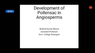 Development of pollen sac