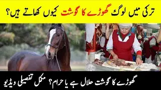 Why Turkish People Eats Horse Meat? | Can Muslims Consume Horse And Donkey Meat | INFO at ADIL