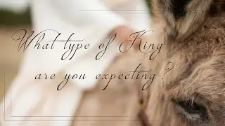 04.02.23_Water's Edge Community Church | What Type of King Are You Expecting?