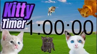 1 hour Kitty Timer. Every second a kitten appears. In total 3600 kittens  brighten your day