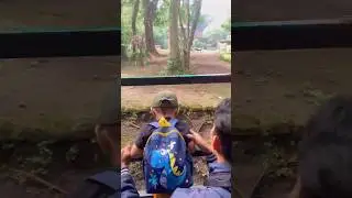 liburan GRATIS ke Bandung Zoo #bandungzoo #minivlog #hamzahvlog