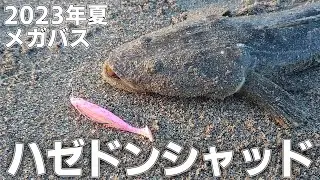 【ルアー】メガバスのハゼドンシャッドを真夏のサーフで使ったら?【voicevox実況】