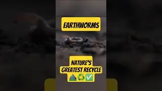 Why Earthworms Are Nature&rsquo;s Greatest Recyclers?  #naturefacts #earthworms  #recycling  #soilhealth