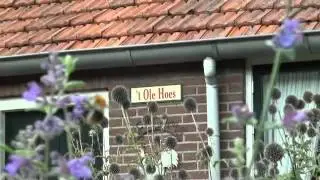 Kleine belties algemeen