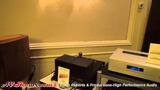 Lamm Industries, Lamm Amplifiers, dc10 Audio Horns 2