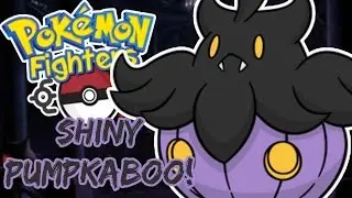 Pokemon Fighters EX - All Shiny Pumpkaboo Sizes!