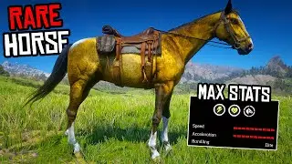 Proper Way To Get The Best & Fastest Gold Turkoman Horse - RDR 2