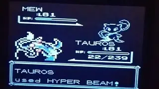 Tauros VS Mew Pokemon Red Blue & Pok&eacute;mon Stadium