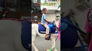 RAYYAN NAIK KUDA LOH 🎠😎 #naikkuda #kuda #duniahisyamrayyan