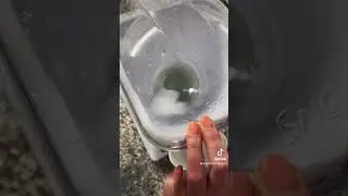 Crushing ice and making fluffy snow ice! #subscribe #icelovers #amazon #icecraving #asmr #snow