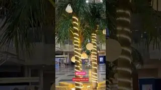 Cairo International Airport Arrival Hall