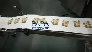 Double cookie dates enrusting machine Wire cut Panda cookie machine with arranging trays machine