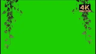 hanging grass plant green screen effect