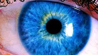 Scientific Things The Human Eye CAN'T See!