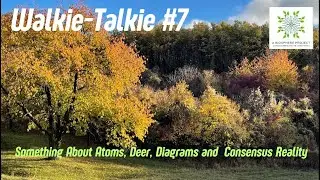 WALKIE TALKIE #7 'About Atoms, Deer, Diagrams and Consensus Reality'