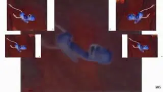 Dreamworks Animation SKG (Shark Tale Variant) in G-Major 8135 has a Sparta Gamma Remix
