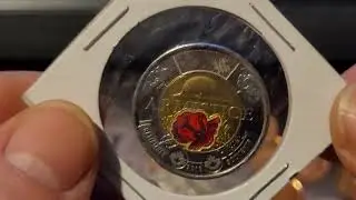 #15 C.V. The 2018 Armistice Toonie