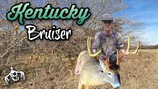 Archery Hunting (KENTUCKY PUBLIC LAND) For Big BUCKS!!