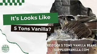 This Is What 5 Tons of Vanilla Beans Looks Like! | Vanilla Beans Restock at suppliervanilla.com
