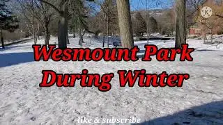 Westmount Park During Winter