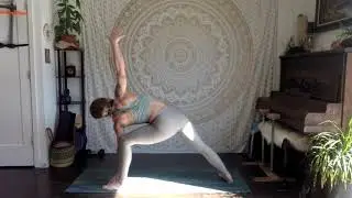 1 Hr. Vinyasa Yoga Flow with Sarah Hardy - The Wilder Goddess