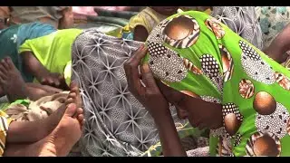 Tillabéri : Une centaine de déplacés fuyant le canton d'Anzourou se réfugient au village de Sakoira