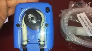 Моё перистальтическое  фиаско.