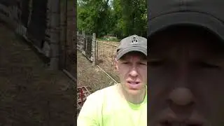 Small Farming Fun on a Yak Farm