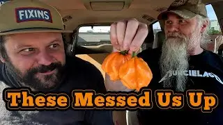 These Orange Scotch Bonnets Destroyed Us 😂🔥