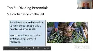 FAQ with the Master Gardeners 9/4/2020