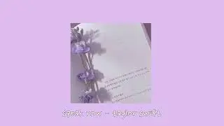 speak now - taylor swift {sped up}