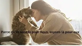 Chaque chat est un guide spirituel d&eacute;guis&eacute;