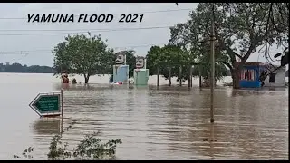 2021 Yamuna River Flood || Jamuna Nadi Kishanpur