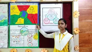 Ecosystem and ecological imbalance