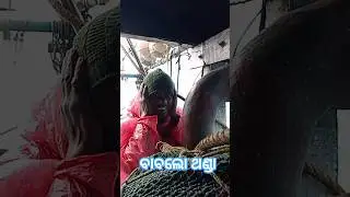 ବବାଲୋ ଥଣ୍ଡା #song #music #viral #fishing #ytstudioes #viralmusic #travel #saluram
