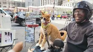 Let's take a look and see who's outside @ 5th ave NYC / Friday October 3, 2025 #outside