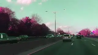 Cross Island Pkwy North and South, Queens
