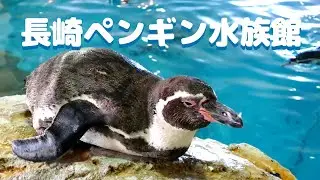 長崎ペンギン水族館に行ってきた Nagasaki Penguin Aquarium
