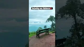 Mesmerising fog covered Darjeeling is a pure bliss #darjeeling #foggymorning #ytshorts