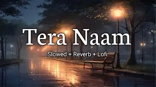 Tera Naam – Slowed Reverb Lofi Emotional Hindi Love Song 2025