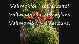 Majas alfabet: V - Vallmo (med text)