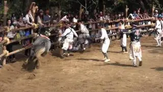 高浜おまんと祭り その4
