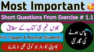 Most Important Short Questions | Exercise 1.1 | Class 9 ptcb | Exam Preparation