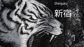 Shinjuku Tokyo: Street Art (Yamanote Line #5)