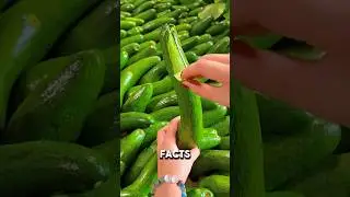 Quick food facts You&rsquo;ll love